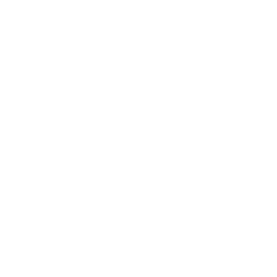 Weltkarte-Sprache-Icon